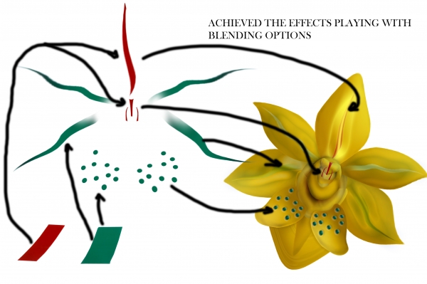 Creation of Plants: Step 6